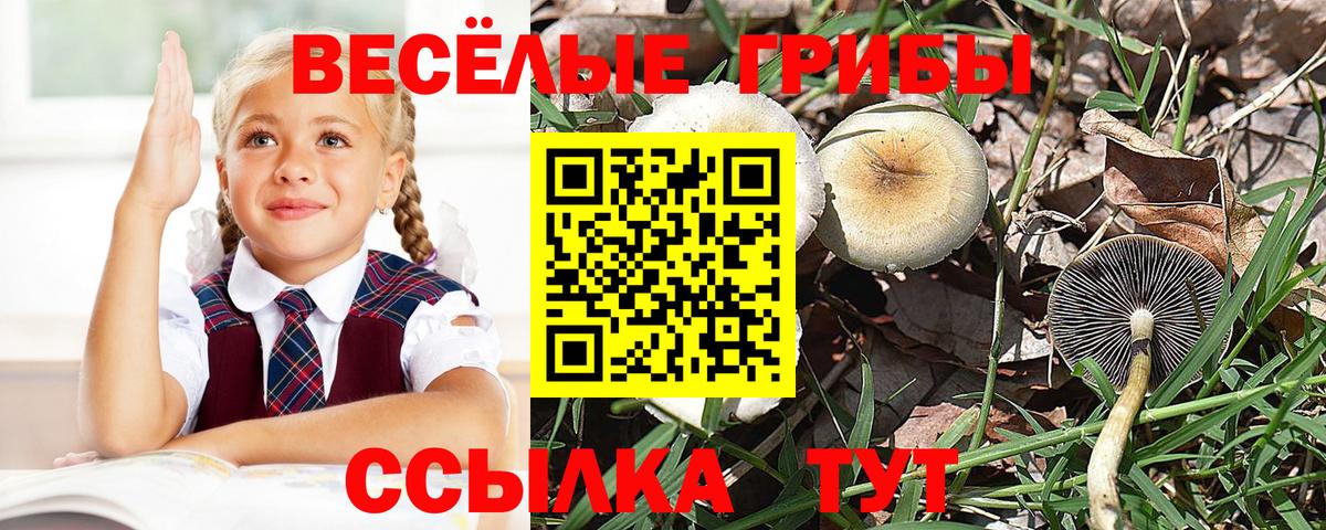 Псилоцибиновые грибы MAGIC MUSHROOMS  Галлюциногенные грибы Psilocybe  Воткинск  Вход с VPN 